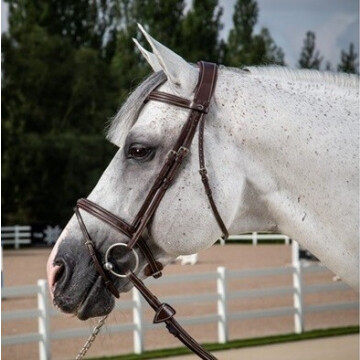 Dy'on Hunter hoofdstel