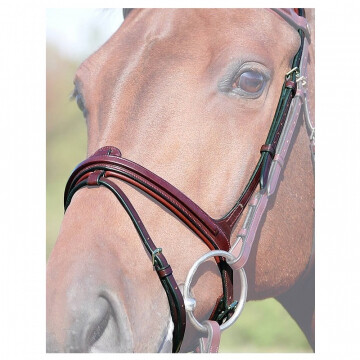 Dyon flash noseband