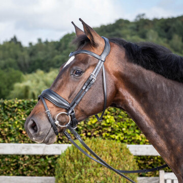 Dy'on Bridle Large Noseband 'Dressage'