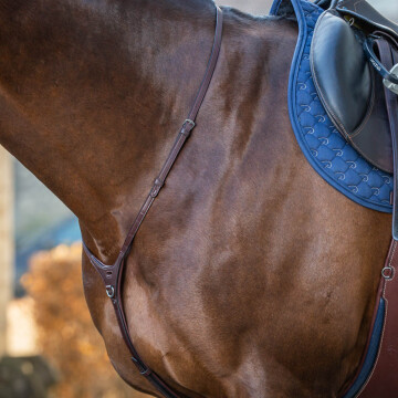 Dy'on Martingale New English