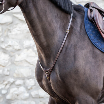 Dy'on Martingale Yoke
