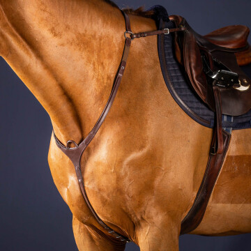 Dy'on Breastplate Bridge 'New English'