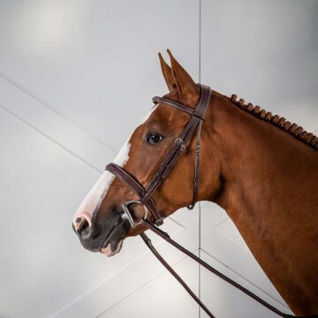 dyon hunter hoofdstel