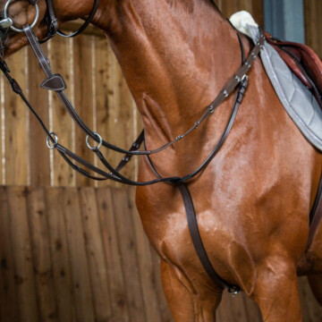 Dy'on Running Martingale ''Working''