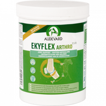 Audevard Ekyflex Arthro EVO