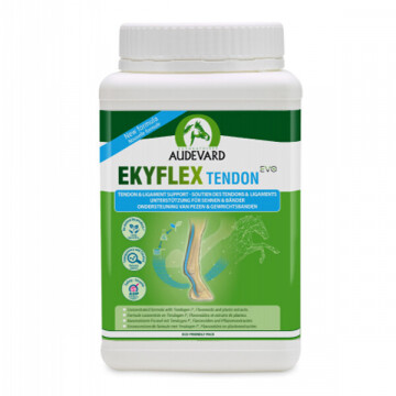 audevard ekyflex tendon evo