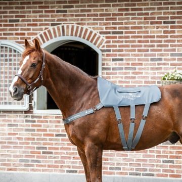 Equilibrium Massage Pad Tester