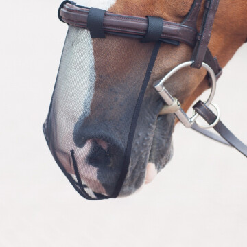 Equilibrium net relief muzzle net (3 pieces)