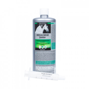 Equistro Mega Base Junior