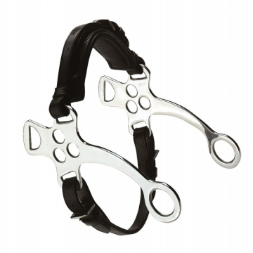 Eric Thomas Hackamore