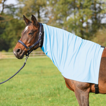 Busse Eczema Hood Extensive