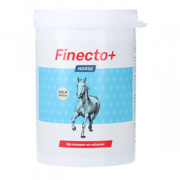 Finecto Horse