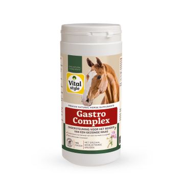 VITALstyle GastroComplex 1KG