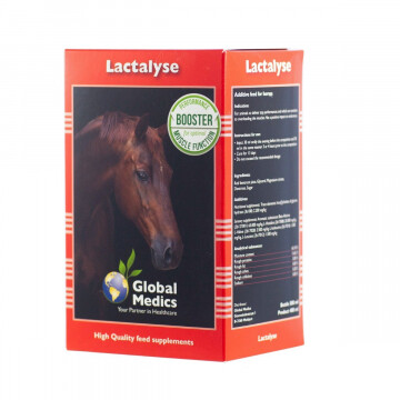 Global Medics Lactalyse