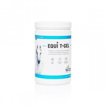 Global Medics Equi T Gel