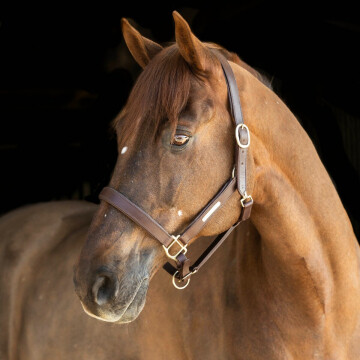Nibago Headcollar Leather Brown