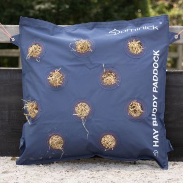 Dominick Hay Buddy Paddock Front