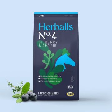 Hilton Herbs Herballs Blueberry & Thyme