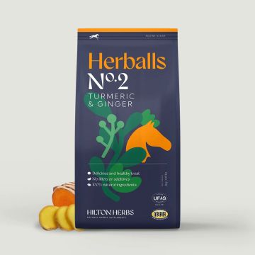 Hilton Herbs Herballs Turmeric & Ginger