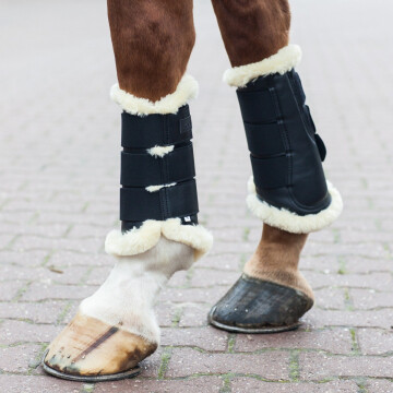 Kavalkade beenbeschermers