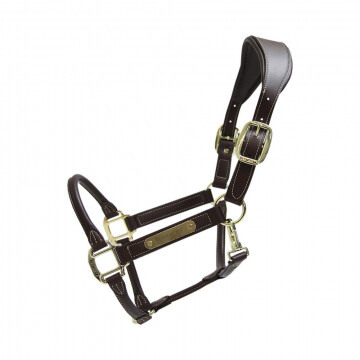 Kentucky anatomic halter
