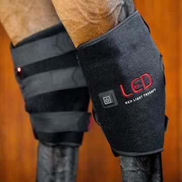 Horseware Therapy Hock Boots LED Red Light