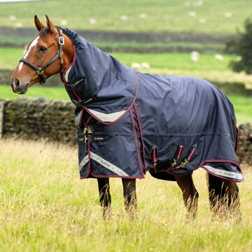 LeMieux Kudos Thermo Layer Turnout Rug 300g