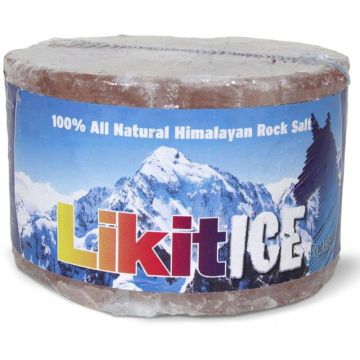 Likit Salt Lick Himalayan Rock