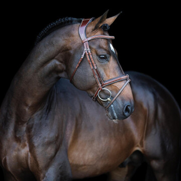 LJ Leathers Bridle Legendary