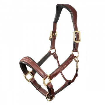 Lemieux Lederen Halster