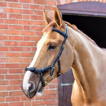 Equilibrium net relief micklem