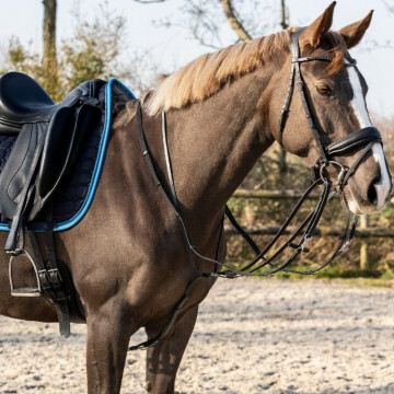 QHP Thiedeman Rein Set Horse