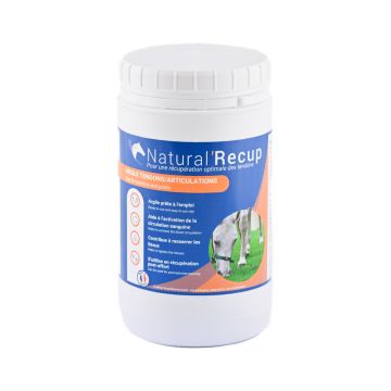 Natural Innov Natural Recup 1.3KG
