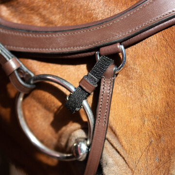 Presteq elastic bitstraps