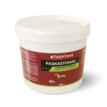 PaskaCheval Paskastomac