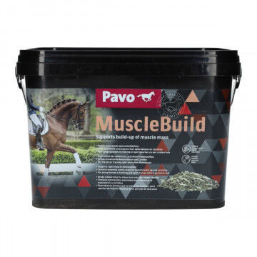 Pavo MuscleBuild