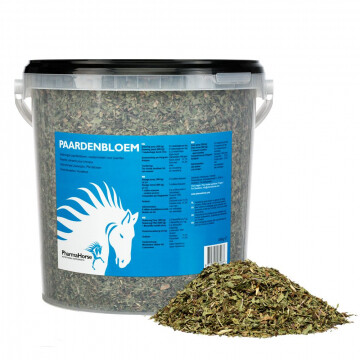 Pharmahorse paardenbloem