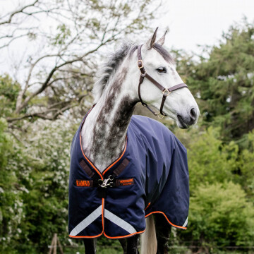 Rambo original 100 gr