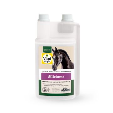 Vitalstyle Silicium+