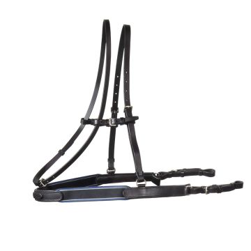 Stübben Breastplate Padded Black