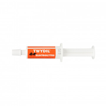 Twydil Electrolytes Pasta