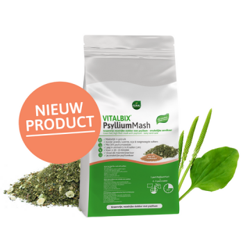 Vitalbix PsylliumMash