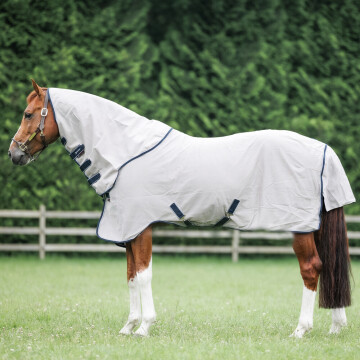 Dominick Fly Rug + Hood 