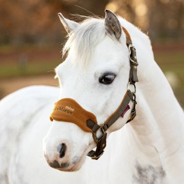 Lemieux Vogue Headcollar & leadrope Super Mini Alpine
