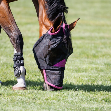 Weatherbeeta Flymask Comfitec Deluxe Nose